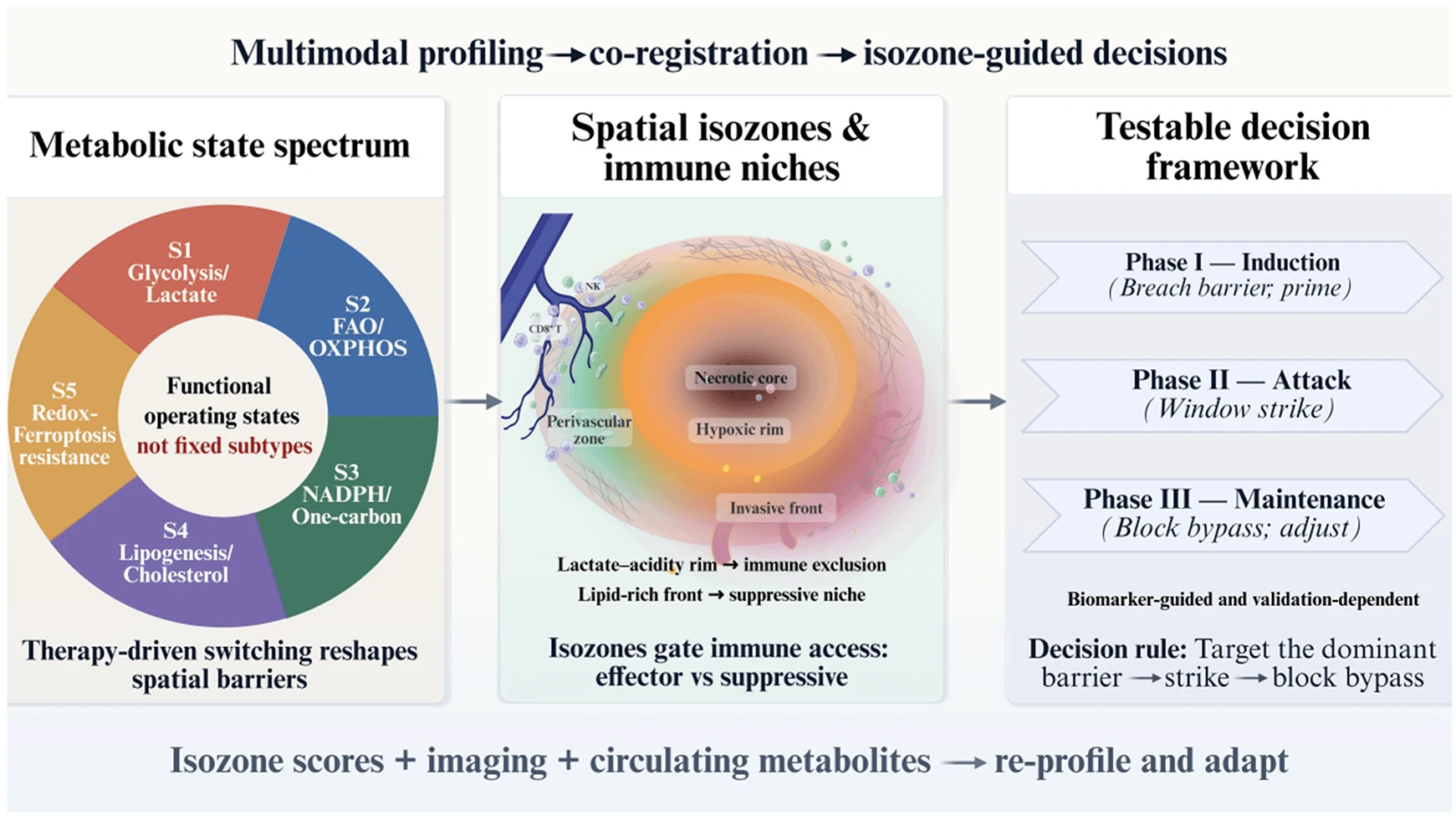 Dynamic Metabolic States in TNBC: Orchestrating Spatiotemporal Adaptation and Therapy