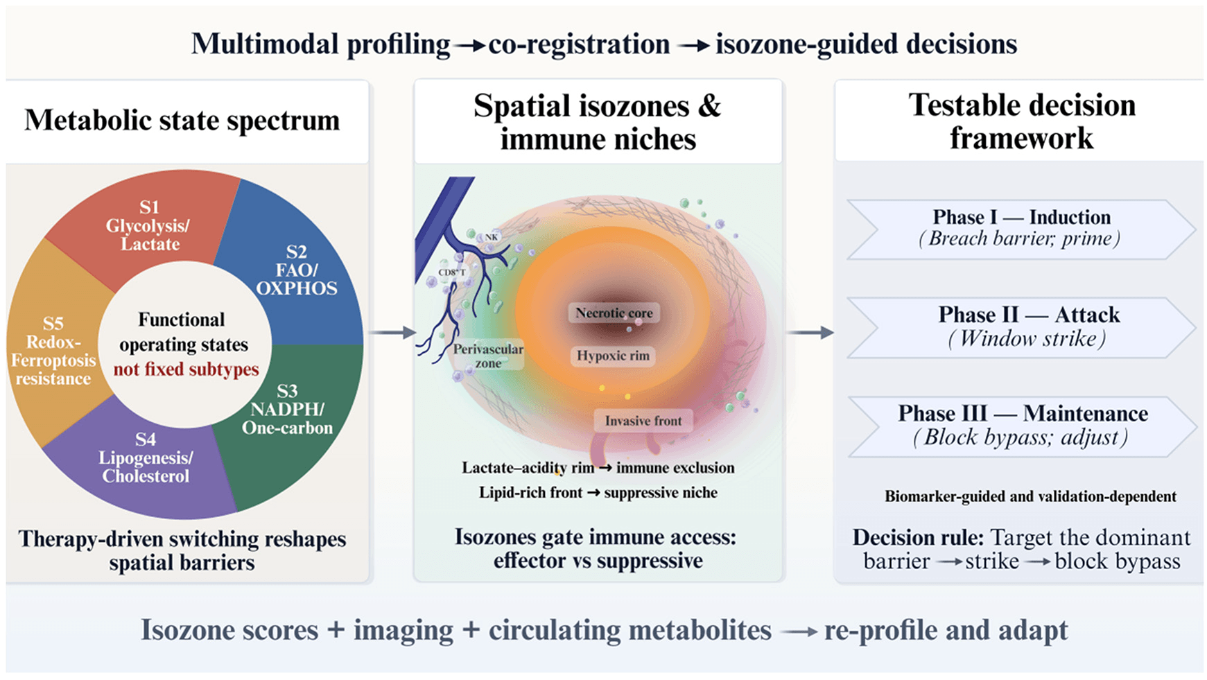 Dynamic Metabolic States in TNBC: Orchestrating Spatiotemporal Adaptation and Therapy