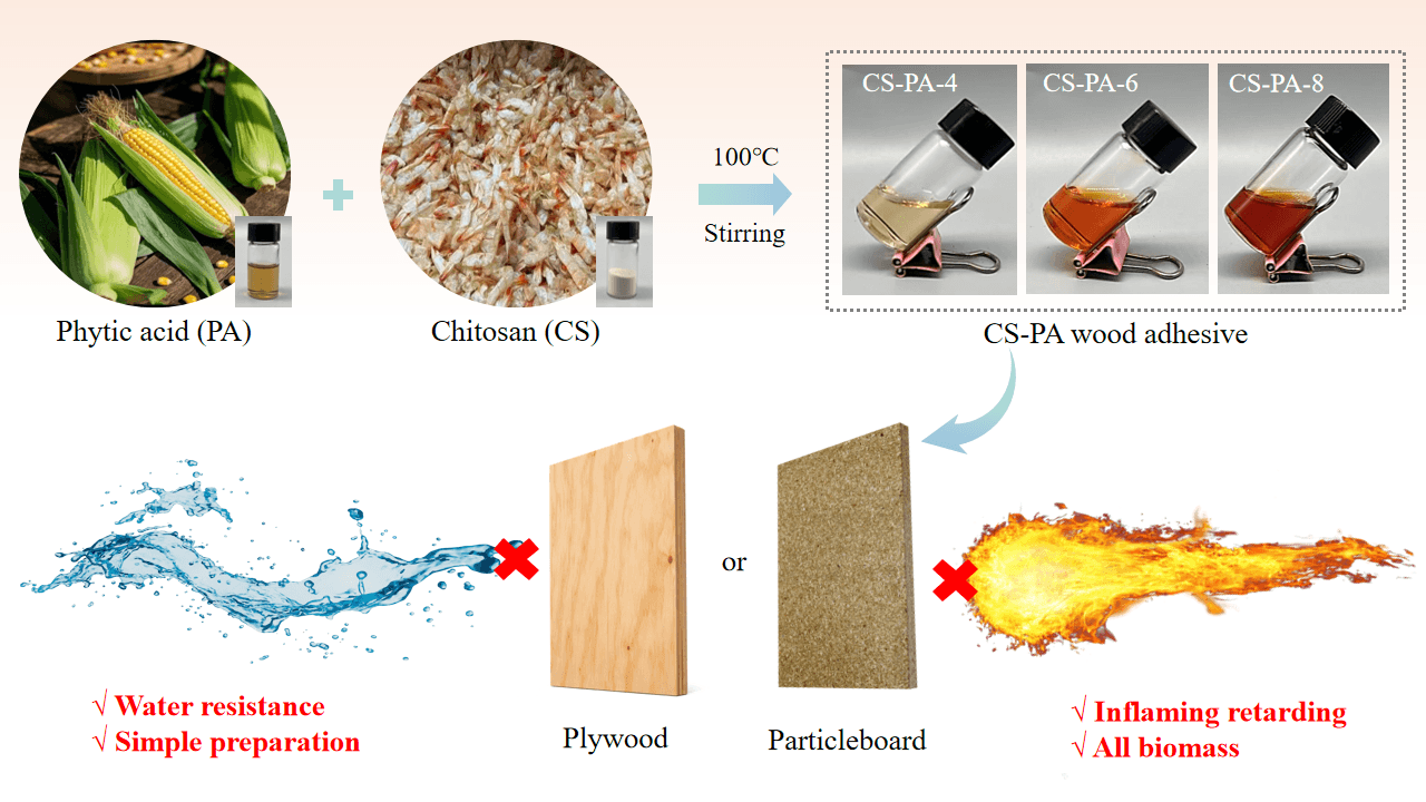 Phytic Acid Crosslinked Chitosan Adhesive for Wood Composites with Enhanced Water Resistance and Flame Retardancy