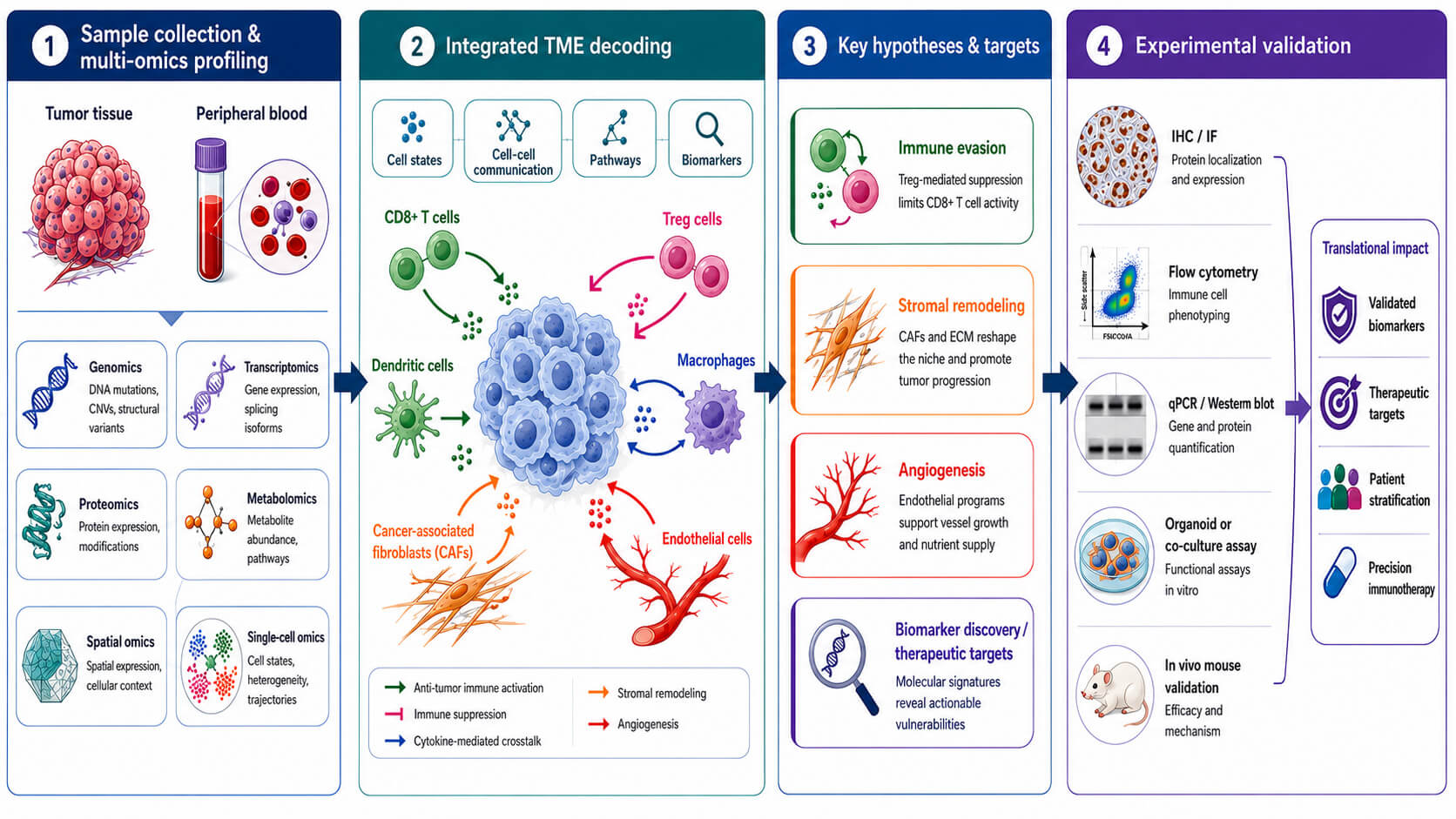 Deciphering the Tumor Microenvironment Through Multi-Omics Profiling and Experimental Validation