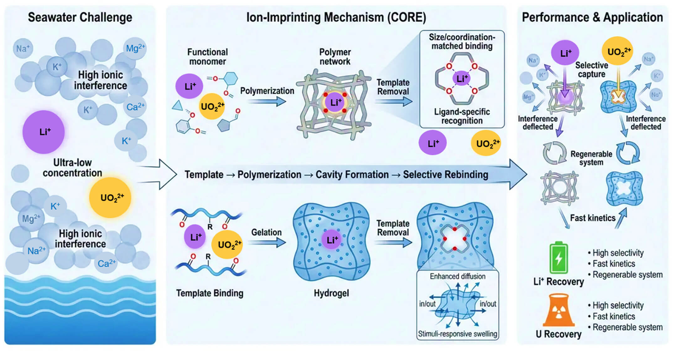 Ion-Imprinted Polymer and Hydrogel for Lithium and Uranium Recovery from Seawater: Fabrication, Properties and Applications