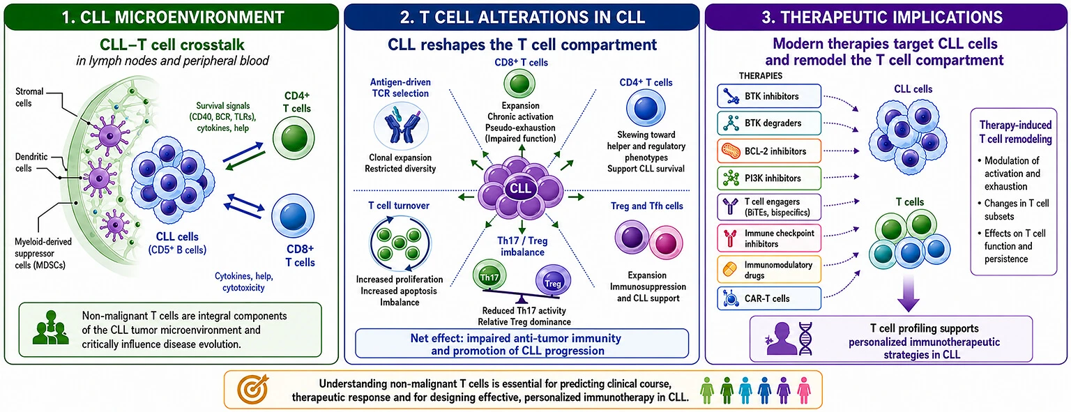 Non-Malignant T Cells as Determinants of Immunotherapeutic Response in Chronic Lymphocytic Leukemia: Towards Personalized Strategies