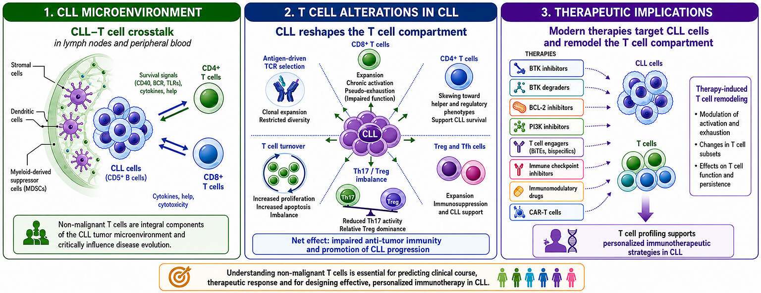 Non-Malignant T Cells as Determinants of Immunotherapeutic Response in Chronic Lymphocytic Leukemia: Towards Personalized Strategies