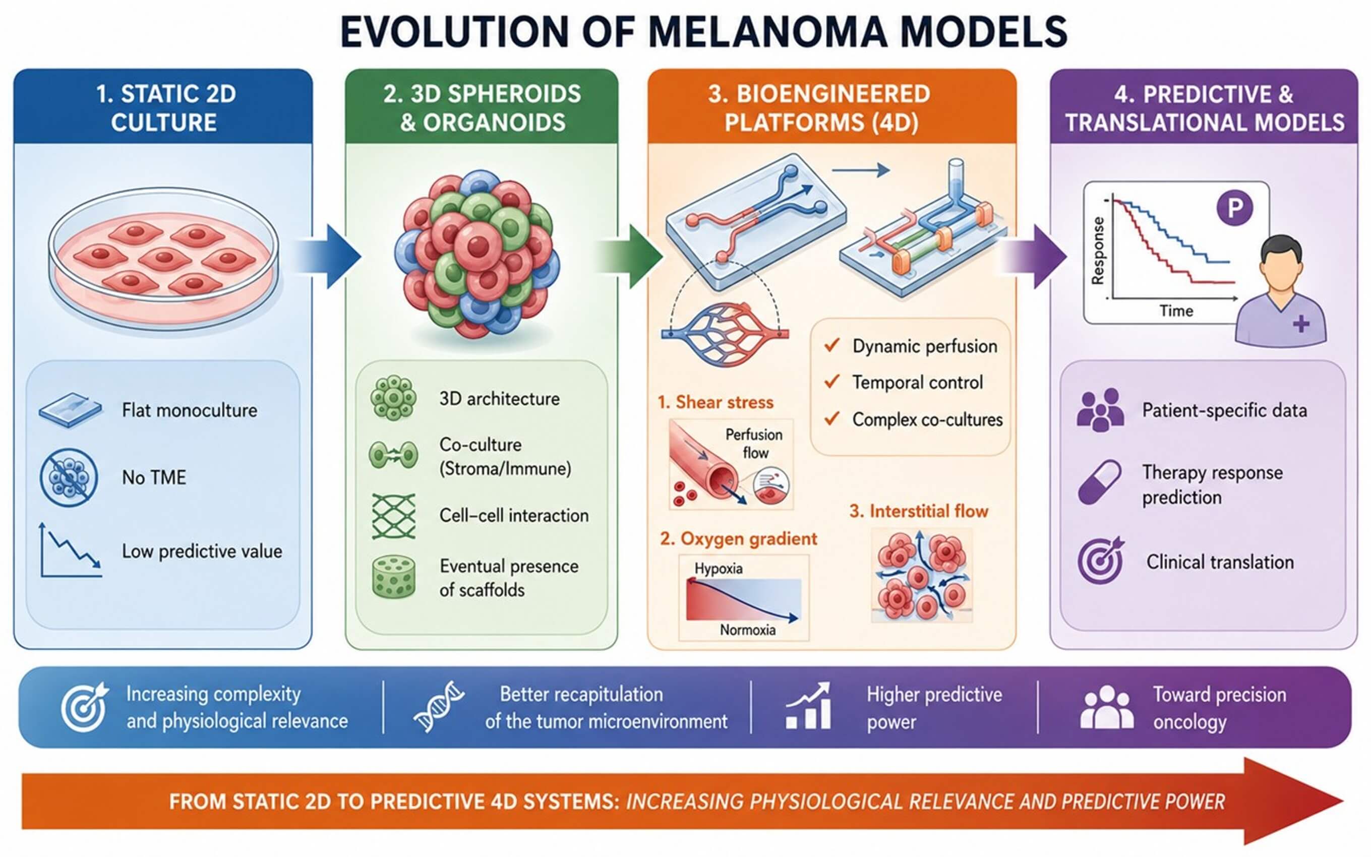 Modeling the Melanoma Tumor Microenvironment: From 3D Cultures to Predictive 4D <i>In Vitro</i> Platforms