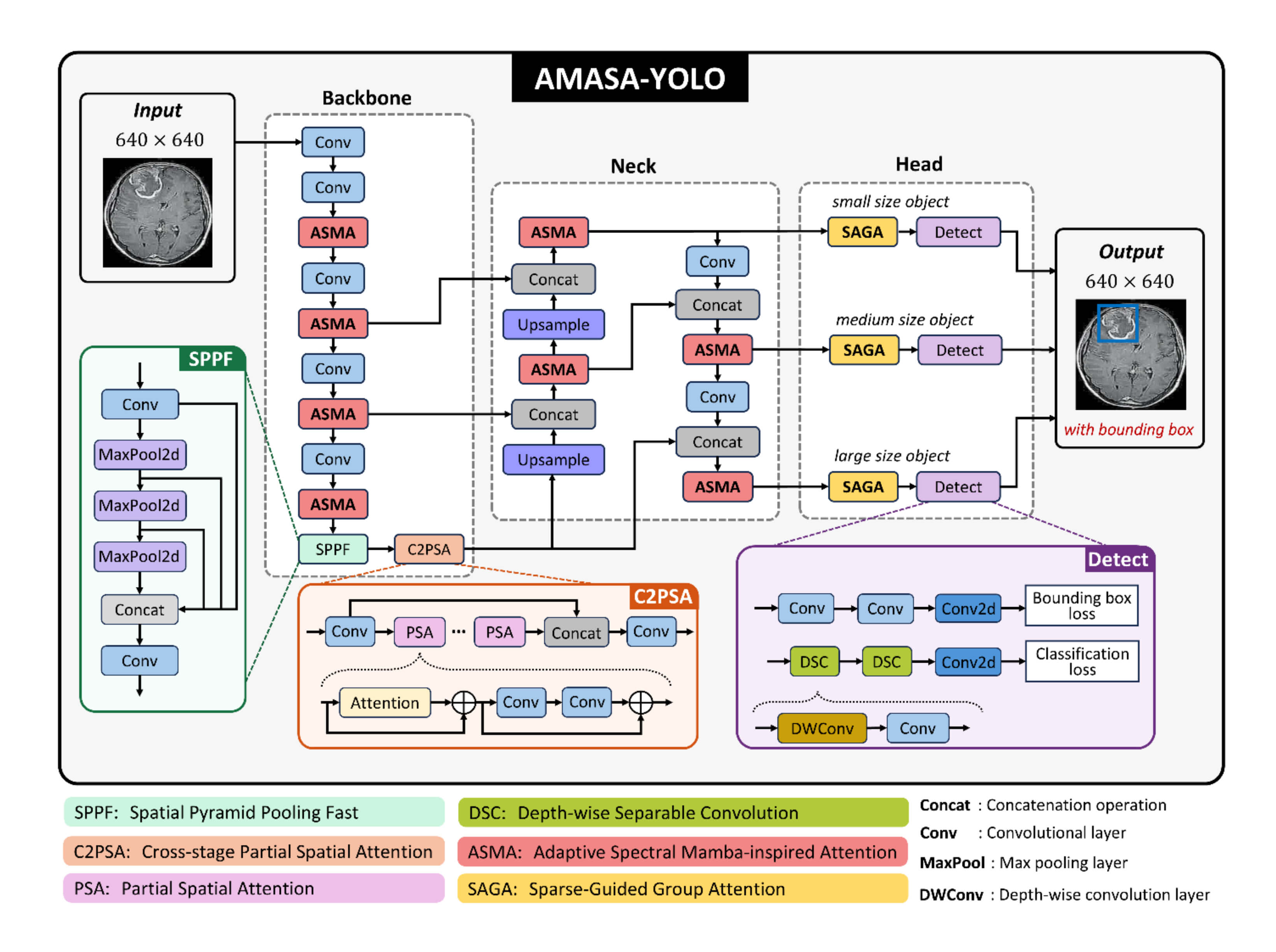 AMASA-YOLO: Adaptive Spectral Mamba-Inspired and Sparse-Guided Attention for MRI Brain Tumor Detection