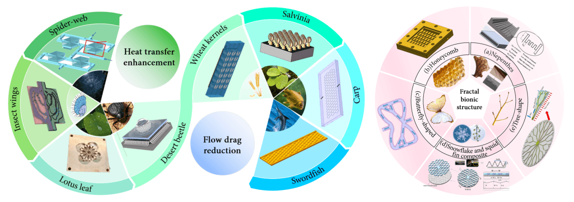A Review of the Application of Bionic Microchannels in the Thermal Management of Electronic Components