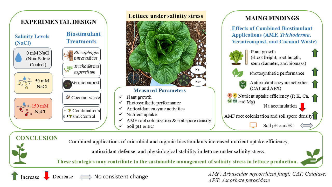Combined Effects of Plant Biostimulant Strategies on Lettuce Performance under Salinity Stress